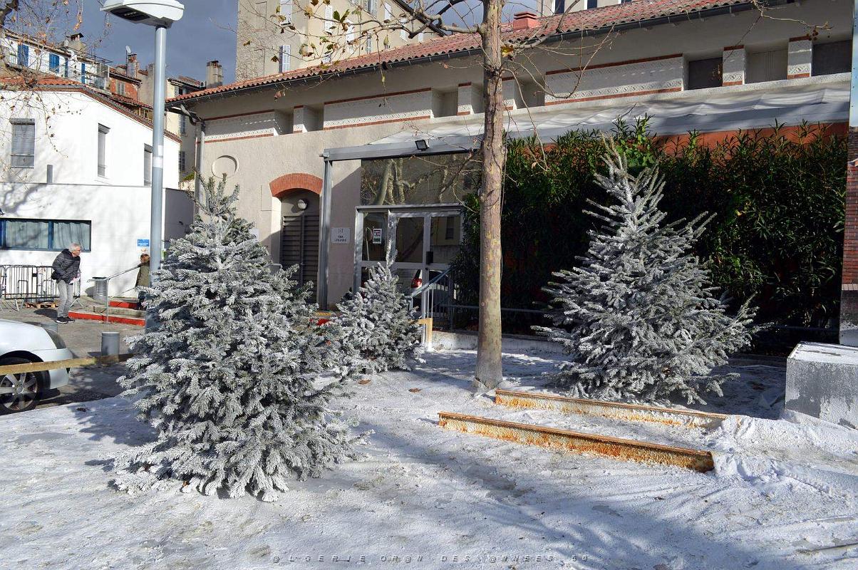 AOBR- Pere Noel 2019 (6).jpg